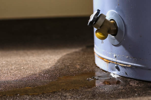 Best Water damage restoration specialists  in Westlake, TX