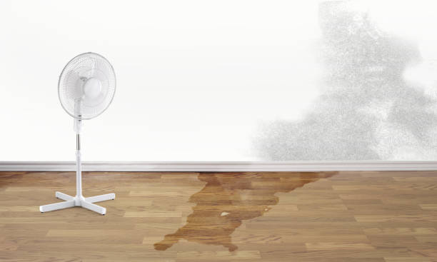 Best Commercial water damage restoration  in Westlake, TX