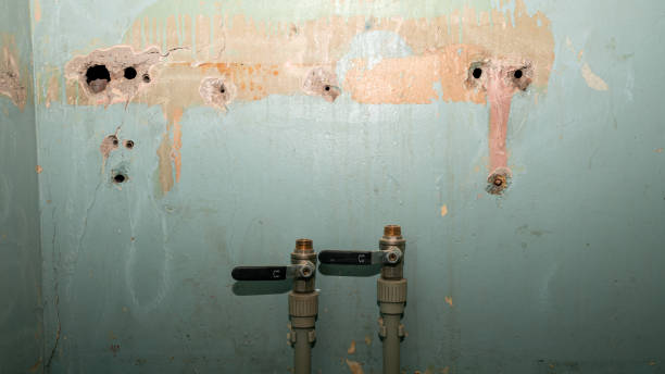 Best Water damage restoration experts  in Westlake, TX